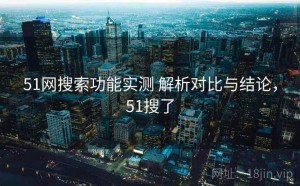 51网搜索功能实测 解析对比与结论，51搜了