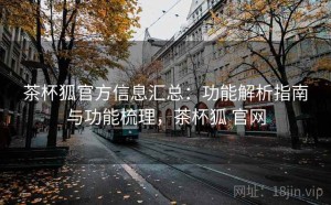 茶杯狐官方信息汇总：功能解析指南与功能梳理，茶杯狐 官网