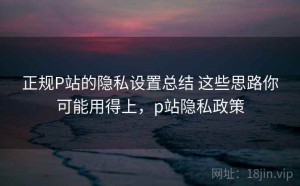 正规P站的隐私设置总结 这些思路你可能用得上，p站隐私政策
