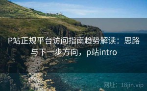 P站正规平台访问指南趋势解读：思路与下一步方向，p站intro