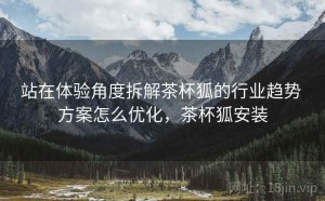 站在体验角度拆解茶杯狐的行业趋势 方案怎么优化，茶杯狐安装