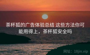 茶杯狐的广告体验总结 这些方法你可能用得上，茶杯狐安全吗