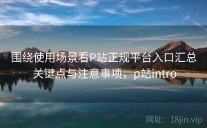 围绕使用场景看P站正规平台入口汇总 关键点与注意事项，p站intro