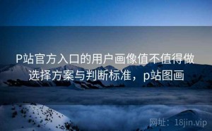 P站官方入口的用户画像值不值得做 选择方案与判断标准，p站图画