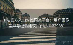 P站官方入口对比同类平台：用户画像差异与经验建议，p站id1229881