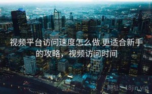 视频平台访问速度怎么做 更适合新手的攻略，视频访问时间