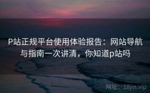 P站正规平台使用体验报告：网站导航与指南一次讲清，你知道p站吗
