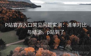 P站官方入口常见问题实测：清单对比与结论，p站到了