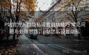 P站官方入口隐私设置避坑技巧 常见问题与处理思路，p站怎么设置隐私
