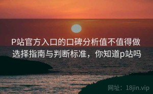 P站官方入口的口碑分析值不值得做 选择指南与判断标准，你知道p站吗