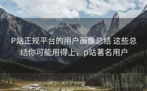 P站正规平台的用户画像总结 这些总结你可能用得上，p站著名用户