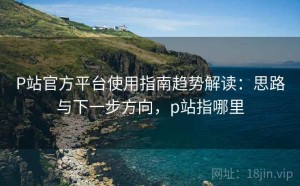P站官方平台使用指南趋势解读：思路与下一步方向，p站指哪里