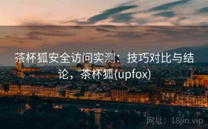 茶杯狐安全访问实测：技巧对比与结论，茶杯狐(upfox)