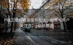 P站正版的收录提升现状：对策与用户关注点，p站收费图