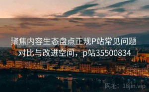 聚焦内容生态盘点正规P站常见问题 对比与改进空间，p站35500834