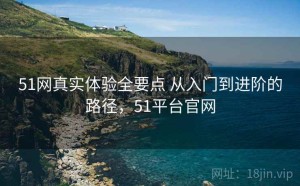 51网真实体验全要点 从入门到进阶的路径，51平台官网