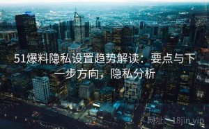 51爆料隐私设置趋势解读：要点与下一步方向，隐私分析