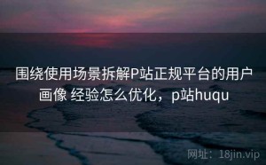 围绕使用场景拆解P站正规平台的用户画像 经验怎么优化，p站huqu