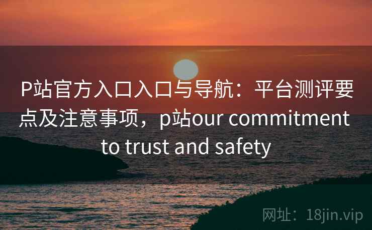 P站官方入口入口与导航：平台测评要点及注意事项，p站our commitment to trust and safety