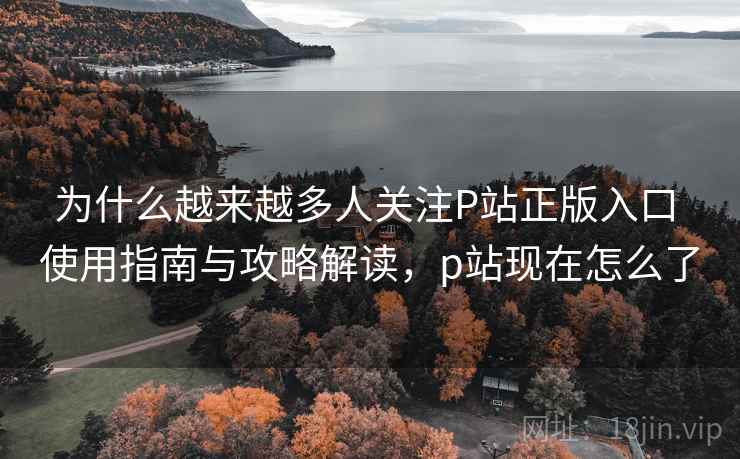 为什么越来越多人关注P站正版入口 使用指南与攻略解读，p站现在怎么了