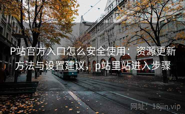 P站官方入口怎么安全使用：资源更新方法与设置建议，p站里站进入步骤