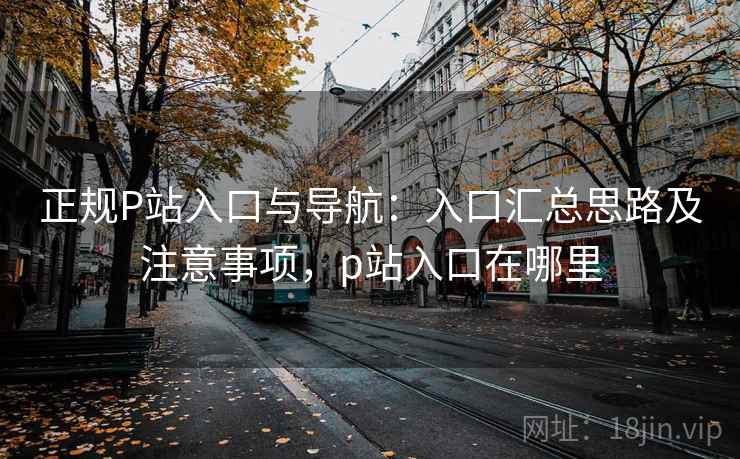 正规P站入口与导航：入口汇总思路及注意事项，p站入口在哪里