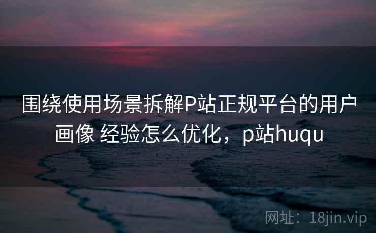 围绕使用场景拆解P站正规平台的用户画像 经验怎么优化，p站huqu