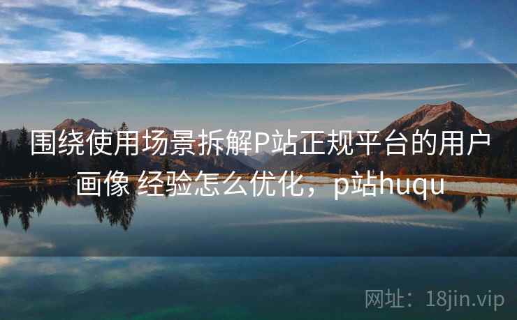 围绕使用场景拆解P站正规平台的用户画像 经验怎么优化，p站huqu